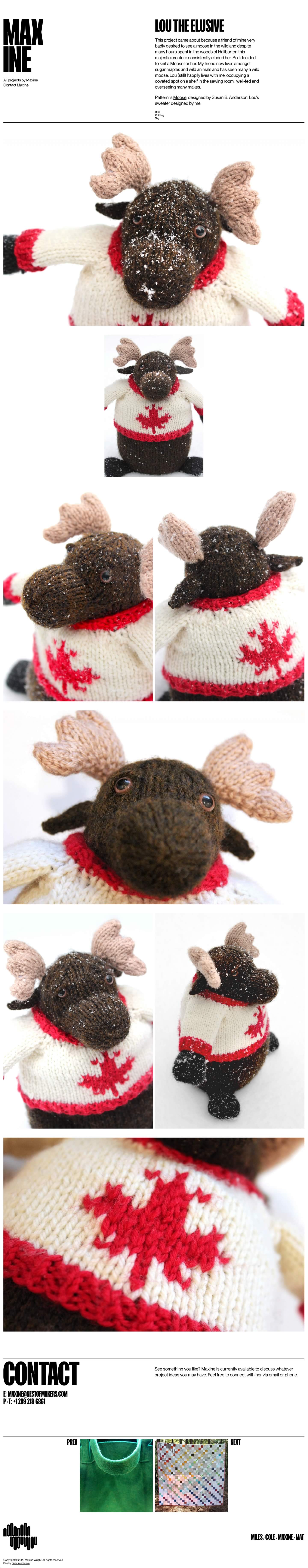 Capture of a full Maxine Wright project ppage from the Nest of Makers website