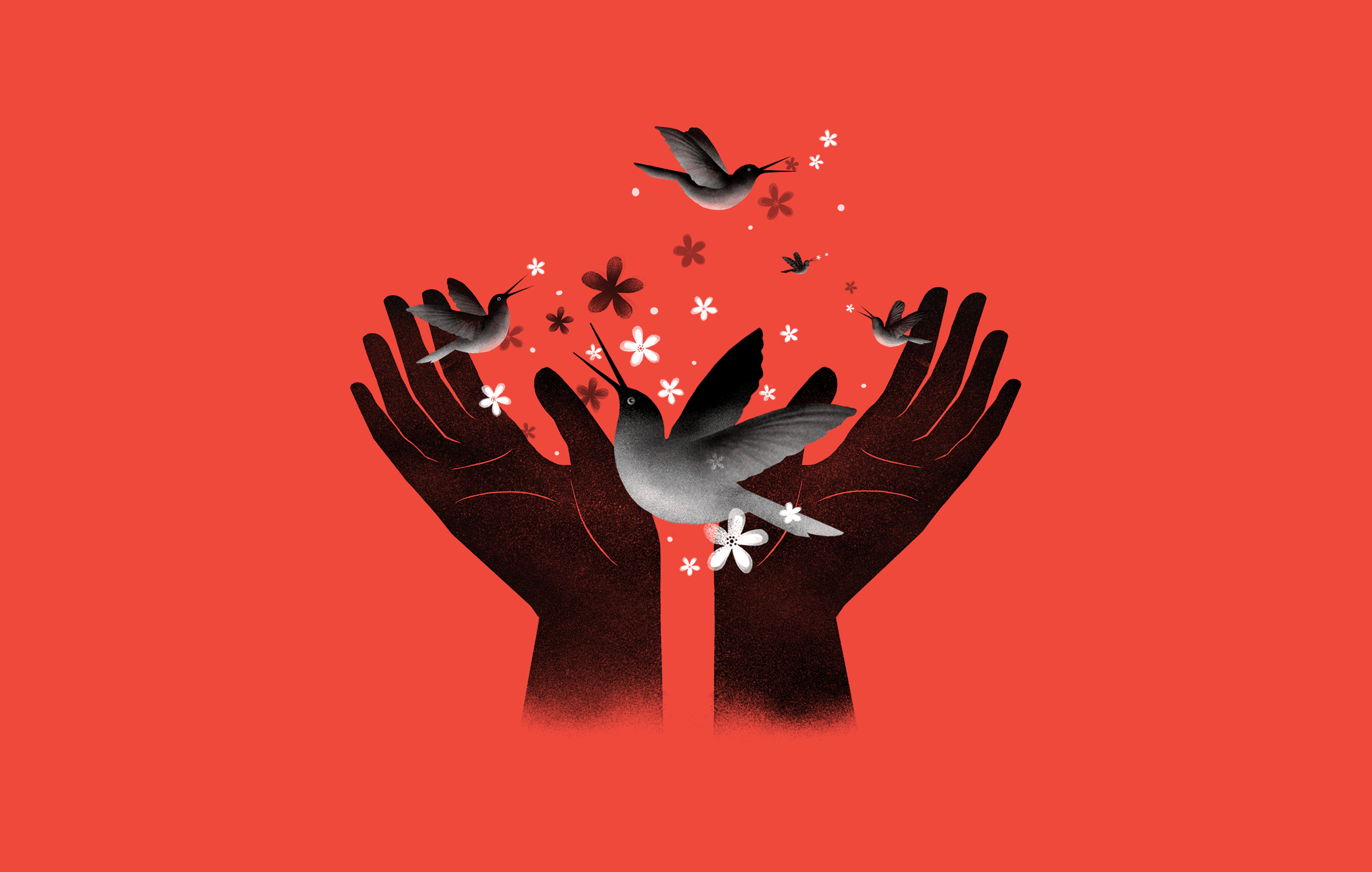 Illustration of a pair of hands cradling three birds (illustration by Sandra Dionisi)
