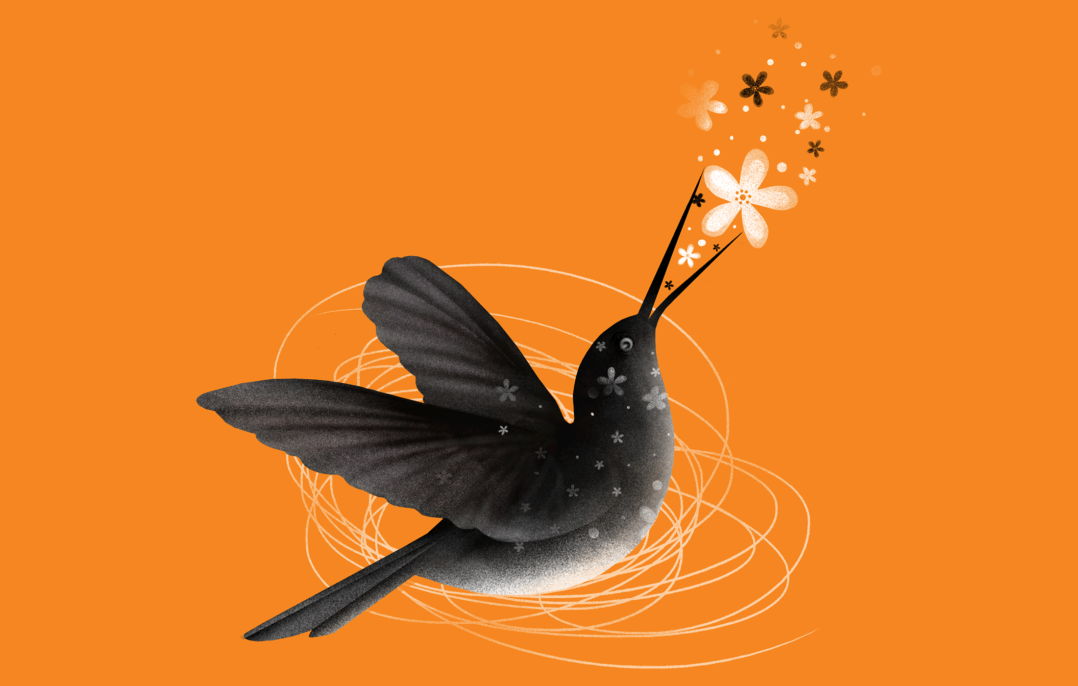 Illustration of a bird singing (illustration by Sandra Dionisi)