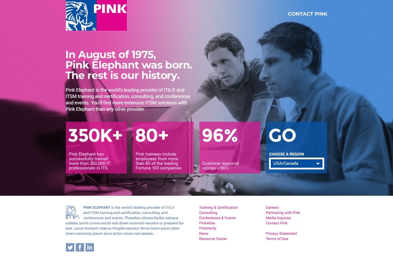 Capture of the interstitial/splash page from the Pink Elephant website (first iteration)